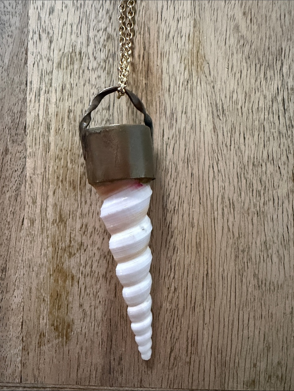 Gold Chain Necklace with White Spiral Shell Pendant - Picture 2 of 4